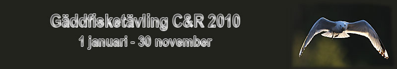 G�ddfisket�vling 2010 C&R